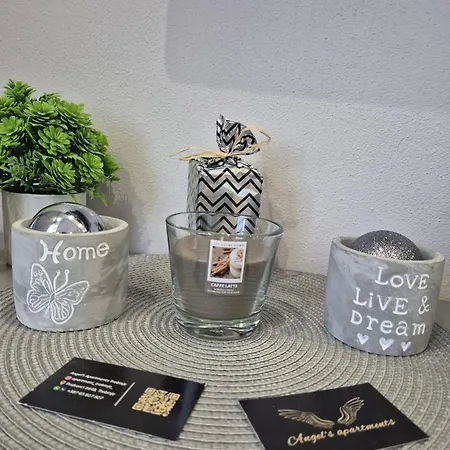 Angel's 1 트레빈예